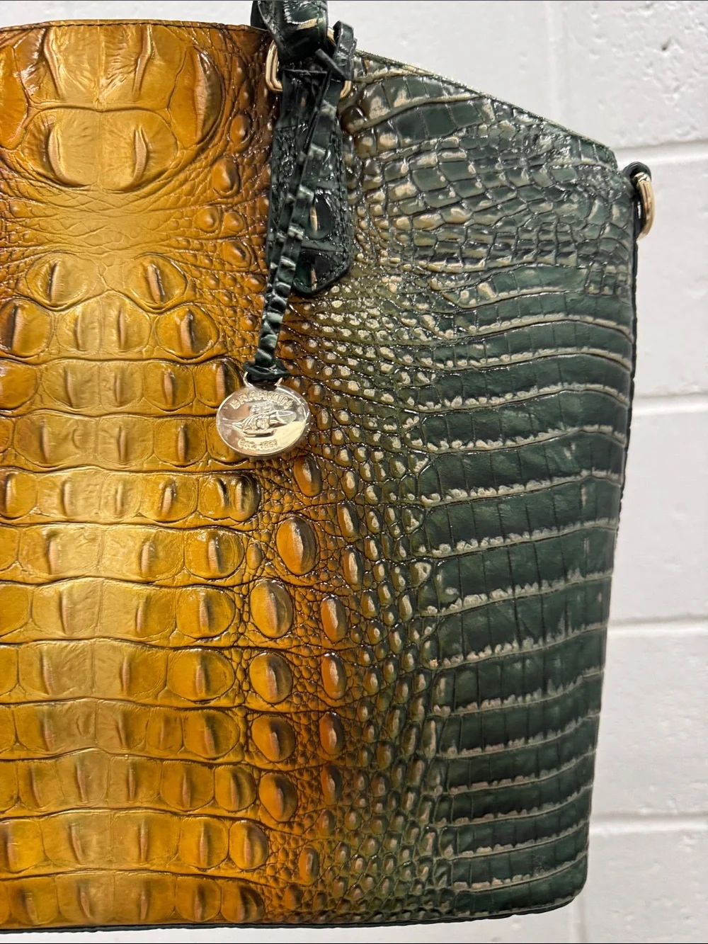Brahmin Duxbury Bayleaf Ombré Green and Amber Croc-Embossed Leather Satchel